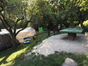 Ljubno_Kamp_Loka (3)